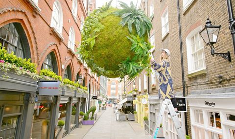 Anna Garforth, Londra'daki St Christopher's Place'de yükselen kokedama kurulumu