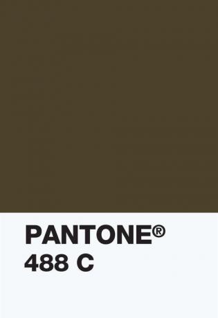 Pantone Renk Enstitüsü - 448c renk örneği - opak kanepe