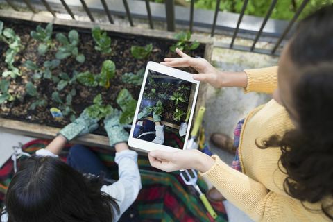 Üstten Görünüm kız annesi Bahçe dijital tablet fotoğraf çekimi ile