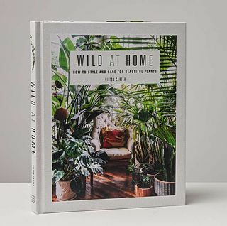 Wild at Home: Güzel Bitkiler için Stil ve Bakım Kitabı