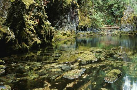 opan creek oregon dünyalar en çirkin renk