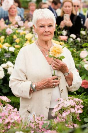 Judi Dench RHS Chelsea Flower Show 2017 basın gününe katıldı