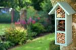 Alys Fowler'in arıları bahçenize çekmek için en iyi 5 ipucu
