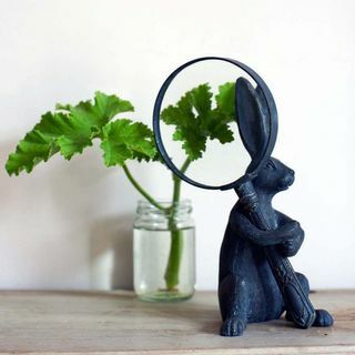 Tavşan Büyüteç