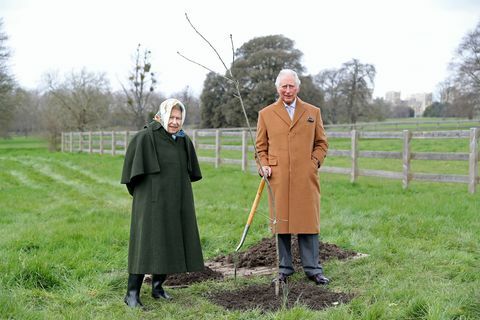 Kraliçe Elizabeth II ve Galler Prensi, Windsor Şatosu arazisindeki ilk jübile ağacıyla