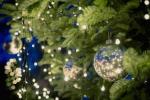 Bir Noel Ağacı Kiralama - Bilmeniz Gerekenler