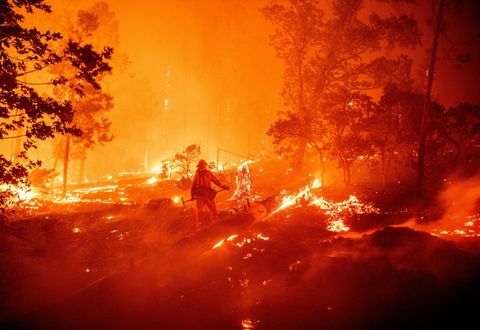 cinsiyet orman yangını california ifşa