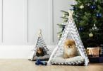 Aldi Special Buys: Aldi Noel için £ 39.99 Satış Pet Çekyat