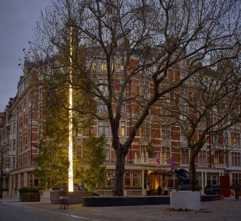 Connaught Christmas Tree 2016, Antony Gormley tarafından bugün Mayfair'de tanıtıldı