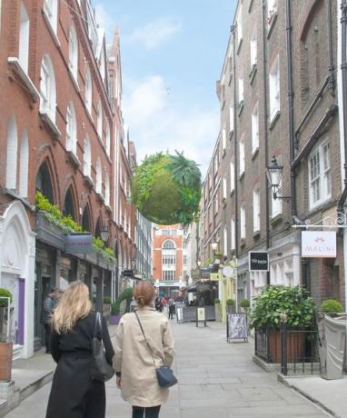 Anna Garforth, Londra'daki St Christopher's Place'de yükselen kokedama kurulumu