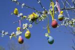 Paskalya Ağacı Fikirleri: Nasıl Yapılır ve Paskalya Yumurtası Ağaçları Nereden Alınır