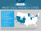 Amerika Birleşik Devletleri'ndeki En Köpek Dostu Şehirler