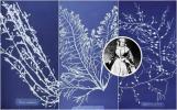 Dünya Kadınlar Günü: Anna Atkins ilham botanik duvar kağıdı sadece zarif