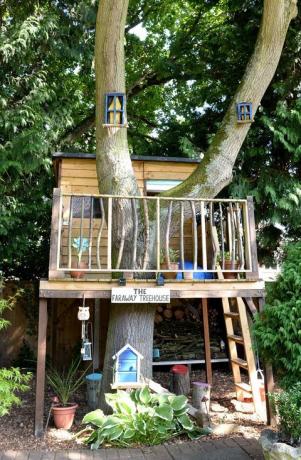 Faraway Treehouse İngiltere'nin En İyi Treehouse Yarışmasını Kazandı