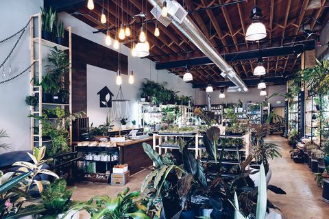 Washington'daki Urban Sprouts mağazası