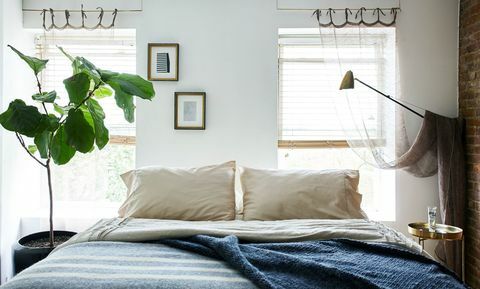 bitki ile mavi yatak odası