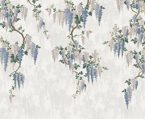 İnci Lowe duvar kağıdı wisteria fotoğraf