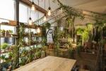 Airbnb ve Pantone Londra'daki Greenery 'Outside In' evinde işbirliği yapıyor