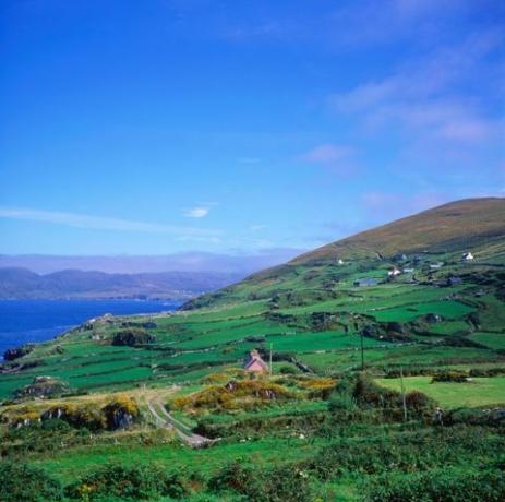 Slea Head County Cork İrlanda