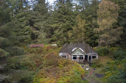 güney loch lomond'un batı kıyısında yer alan yaklaşık 103 dönümlük bir ada satılıktır