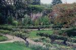 Bunny Mellon'un Bahçe Sırları: Tarihin En Ünlü Bahçıvanlarından Birinden En Değerli Dersler