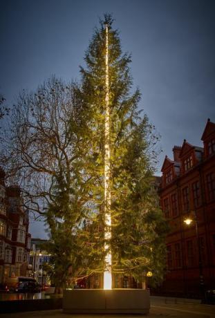 Connaught Christmas Tree 2016 - Antony Gormley Mayfair'de tanıtıldı