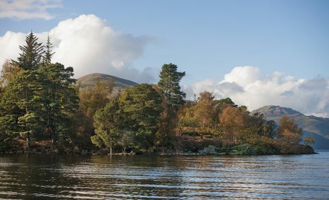 güney loch lomond'un batı kıyısında yer alan yaklaşık 103 dönümlük bir ada satılıktır