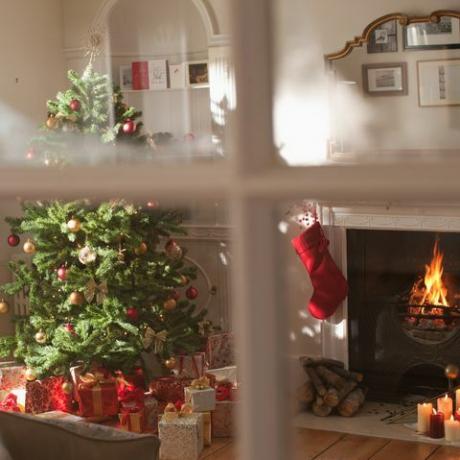 pencerenin arkasında oturma odasında Noel ağacı
