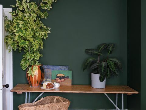 Farrow & Ball, Doğal Tarih Müzesi ile yeni boya koleksiyonunda bir araya geldi