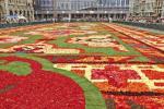 Bu Muhteşem Çiçek Halı 700.000 Begonya Yapraklarından Yapılmıştır