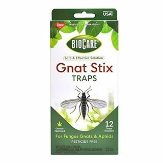 BioCare Gnat Stix Tuzakları