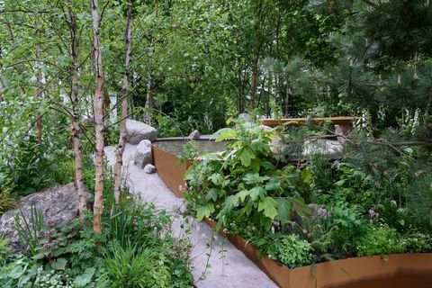 Aile Canavarlar Bahçesi, Alistair Bayford - Chelsea Flower Show 2019 tarafından tasarlandı