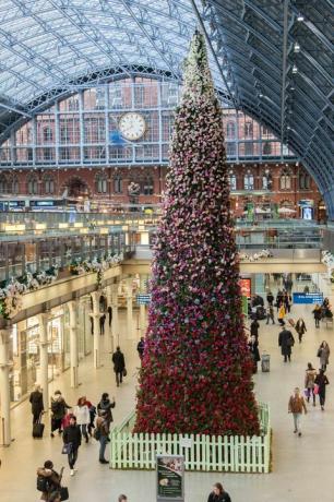 47ft çiçek Noel ağacı St Pancras Uluslararası İstasyonu, Londra açıldı.