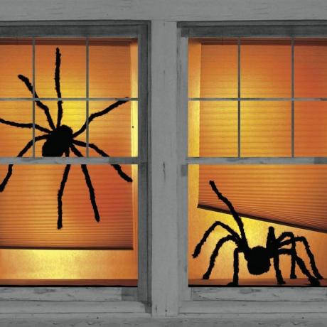 Gölgeli Örümcekler Pencere Posterleri