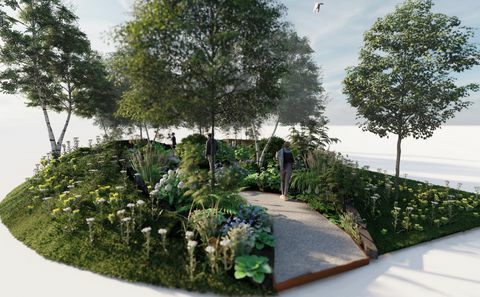 rhs orman banyo bahçesi, rhs özellikli bahçe, dave green tarafından tasarlandı, rhs hampton mahkeme sarayı bahçe festivali 2022