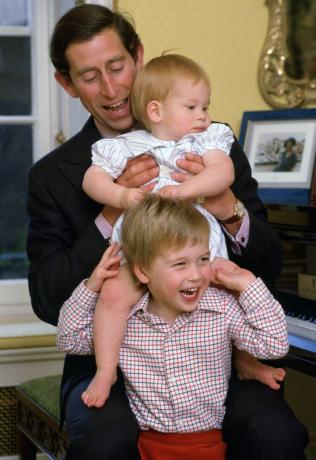 charles william ve harry