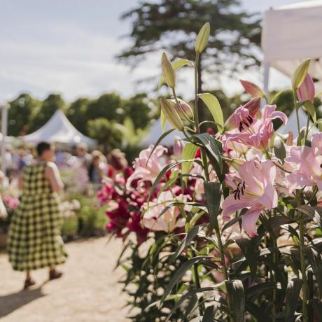 rhs hampton court'taki bitki köyünde alışveriş yapan ziyaretçiler saat etkinliğinden sonra çiçekler