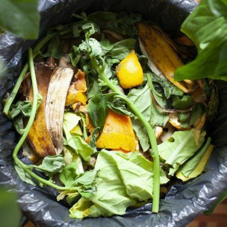 meyve sebze ve yeşillik ile kompost kapsayıcısında organik gıda