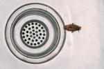 Hamamböceklerini Evinizden Nasıl Uzak Tutabilirsiniz?