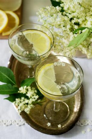 Metal Tepsi Gözlüklü Limon Ve Elderflower Şurubu Ile Soğuk Bir Içki. Rustik Tarzı.