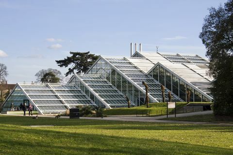 Kew Gardens Galler Prensesi Konservatuarı