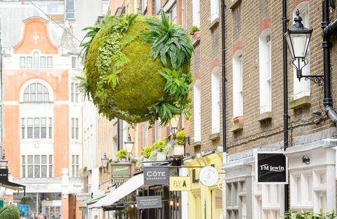 Anna Garforth, Londra'daki St Christopher's Place'de yükselen kokedama kurulumu