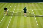 Kendi bahçenizde mükemmel Wimbledon tenis çimini elde etmek ne kadar kolay?