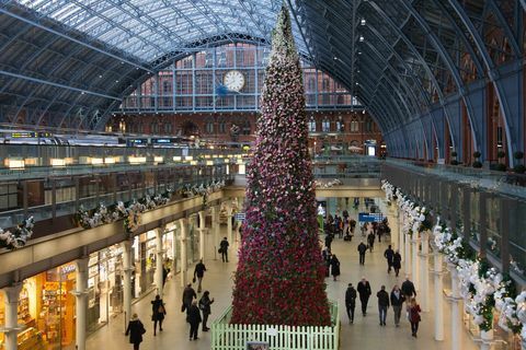 47ft çiçek Noel ağacı St Pancras Uluslararası İstasyonu, Londra açıldı.