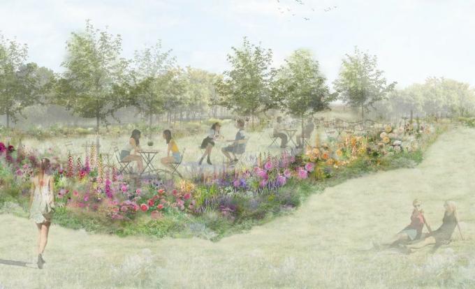 gül çayı bahçesi, rhs özellik bahçesi, pollyanna wilkinson tarafından tasarlandı, rhs hampton court saray bahçe festivali 2022