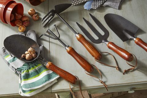 Charlie Dimmock'un Poundland bahçe aletleri