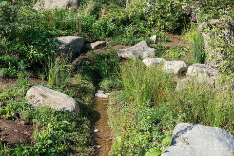 Countryfile’ın 30. Yıldönümü Bahçesi. Tasarım: Ann-Marie Powell. Özellik Bahçe. RHS Hampton Court Sarayı Çiçek Gösterisi 2018