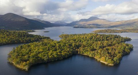 güney loch lomond'un batı kıyısında yer alan yaklaşık 103 dönümlük bir ada satılıktır