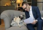 Emlakçı Emoov köpekler için özel ev görüntüleme sunuyor