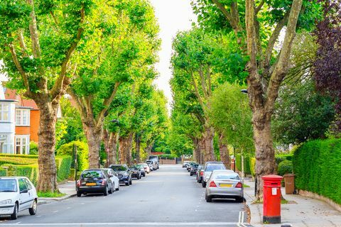 Londra West Hampstead ağaçlarla kaplı sokak